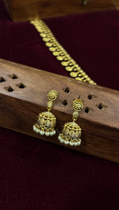 Vaidehi Kasu Long Necklace Set