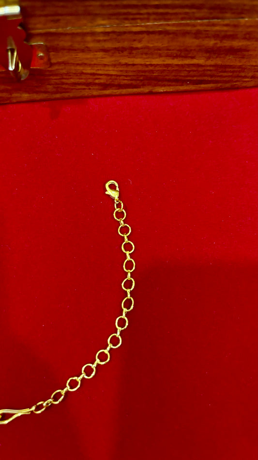 Reusable Back Chain